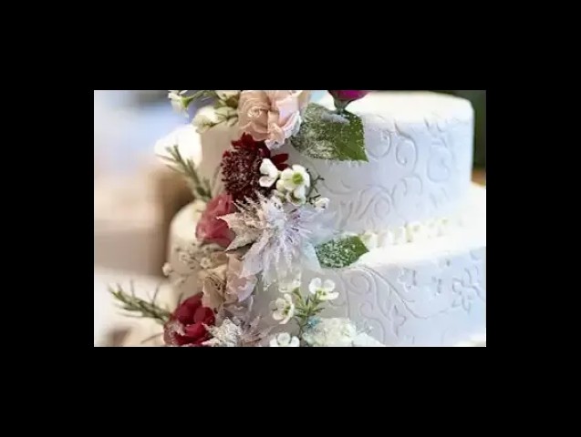 Castello lubiana wedding panorama citta